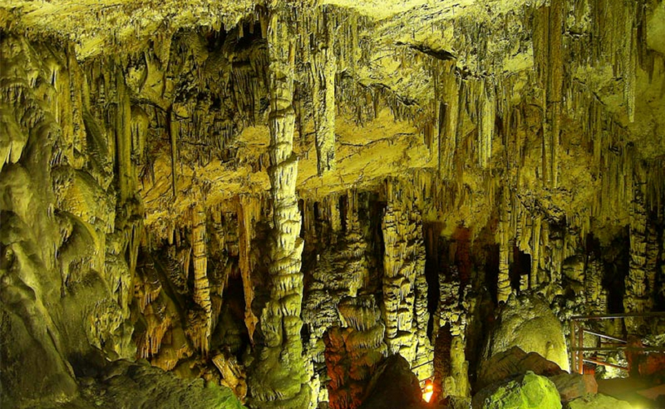 gallery 4